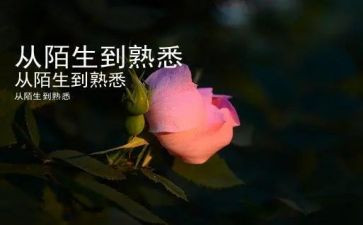 我熟悉的人优秀作文参考6篇