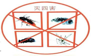 除四害的工作总结优质7篇