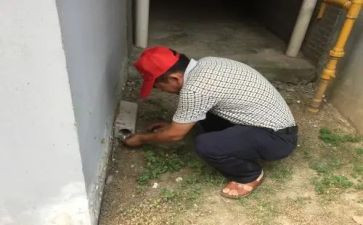 杀四害工作计划5篇