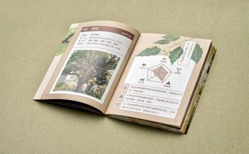 教师学四史讲四史心得体会8篇