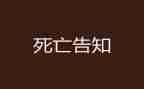 死亡电影观后感7篇