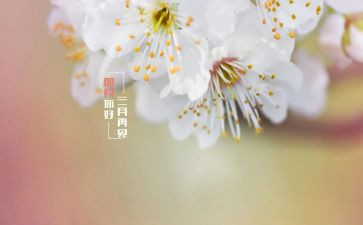 小班四月总结5篇