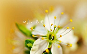 四月末工作总结7篇