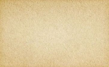 疫情素材作文人物事迹7篇