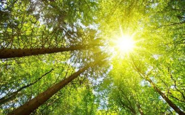 太阳底下最光辉的职业演讲稿8篇