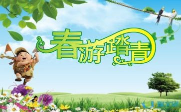 2024公司踏青活动方案8篇