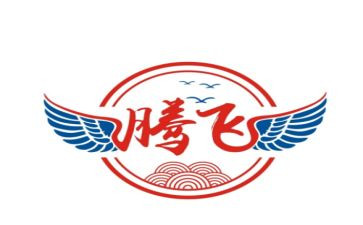 腾飞的祖国100演讲稿6篇