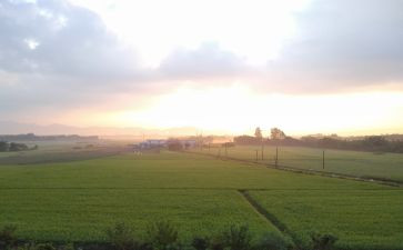 天总会亮作文推荐6篇