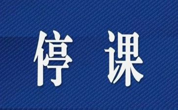 停课不停学教学心得7篇