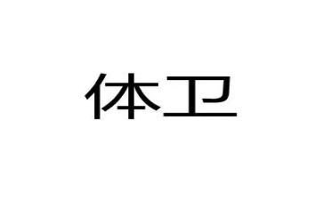 学校体卫处工作计划7篇