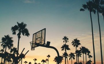 体育生个人总结最新5篇