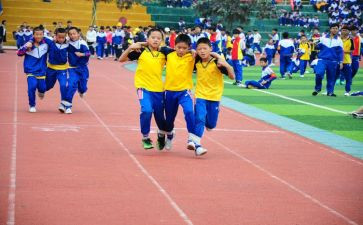 幼儿园体育活动的总结8篇