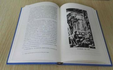 金近童话的读后感100字5篇