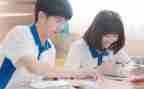 同桌的爱作文800字5篇