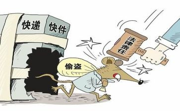 偷来的影子读后感6篇
