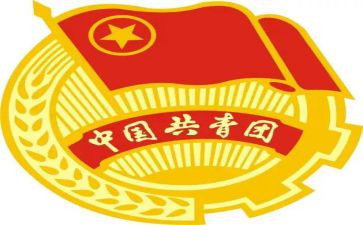 团干部的心得体会1500字6篇