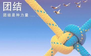 团结协作的作文最新8篇
