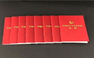 团员团章学习心得体会8篇