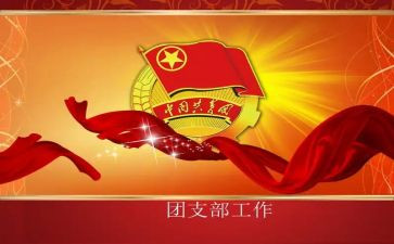 税务局团支部书记述职报告5篇