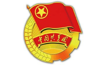 竞选团支书演讲稿精选5篇