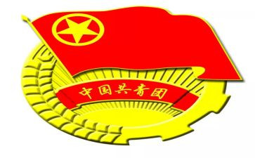 团组织转正申请书8篇