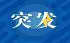 应对突发事件心得体会5篇