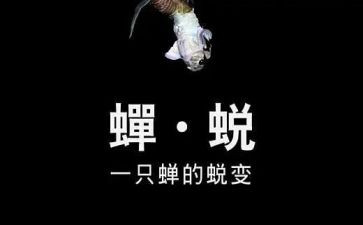 观看《蜕变》心得体会6篇