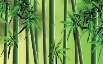 托物言志作文5篇