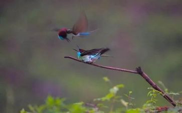 托物言志600字作文7篇