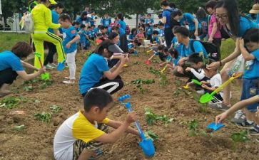 户外拓展活动方案模板6篇