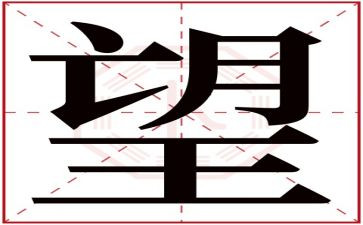 望国旗的演讲稿模板7篇