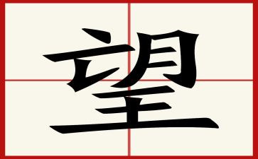 看望老人活动总结5篇