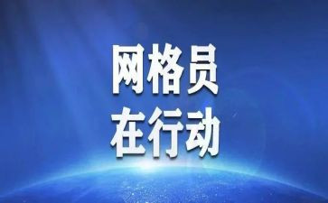 镇网格工作总结模板8篇