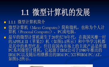 小学微机工作计划7篇
