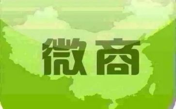 2024年微商心得体会7篇