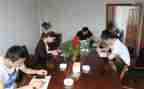 党委员述职报告模板8篇
