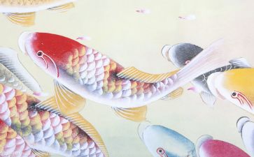 关于闽都文化心得体会6篇