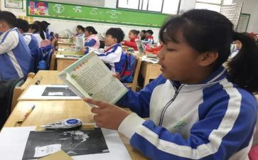 读小学语文课程标准心得体会5篇