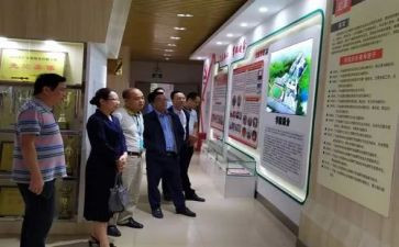 小学语文培训心得5篇