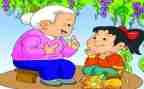 我的奶奶的作文500字优秀6篇