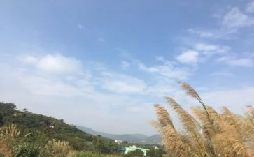 我的一天作文初一600字7篇