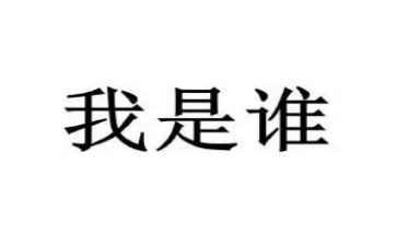 “我是谁”作文模板7篇