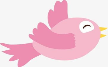 小鸟飞幼儿教案7篇