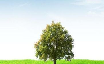 我在变作文700字优质6篇