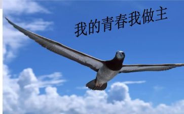 我的青春我做主,作文精选8篇