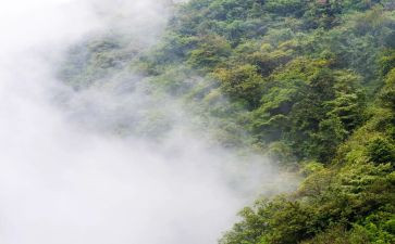雾都孤儿的心得模板5篇