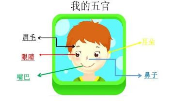 五官科医生个人总结7篇