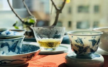 午后的公园作文6篇