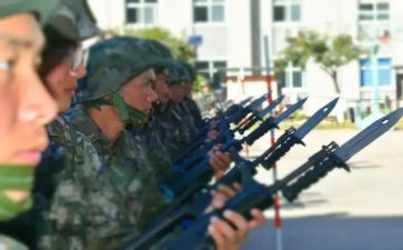 武警训申请书7篇