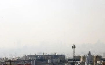 关于污染环境调查报告范文5篇